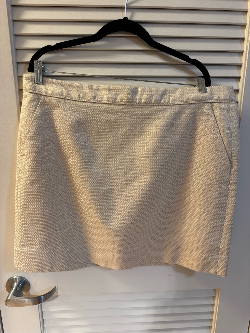 J.Crew Women's Cream/Light Gold A-Line Skirt